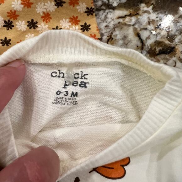 NWT Chick Pea My First Thanksgiving Fall Ruffle Shirt & Pant Set - SIZE 0-3M - Picture 5 of 6